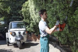 Piaggio Ape Classic Pianale 2017 года 